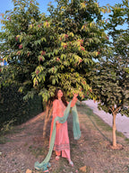 Coral Pink Embroidered 3PC
